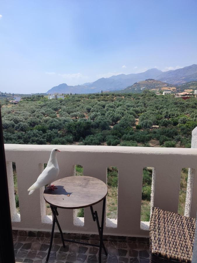 Natural Green Apartment ดัมโนนี ภายนอก รูปภาพ